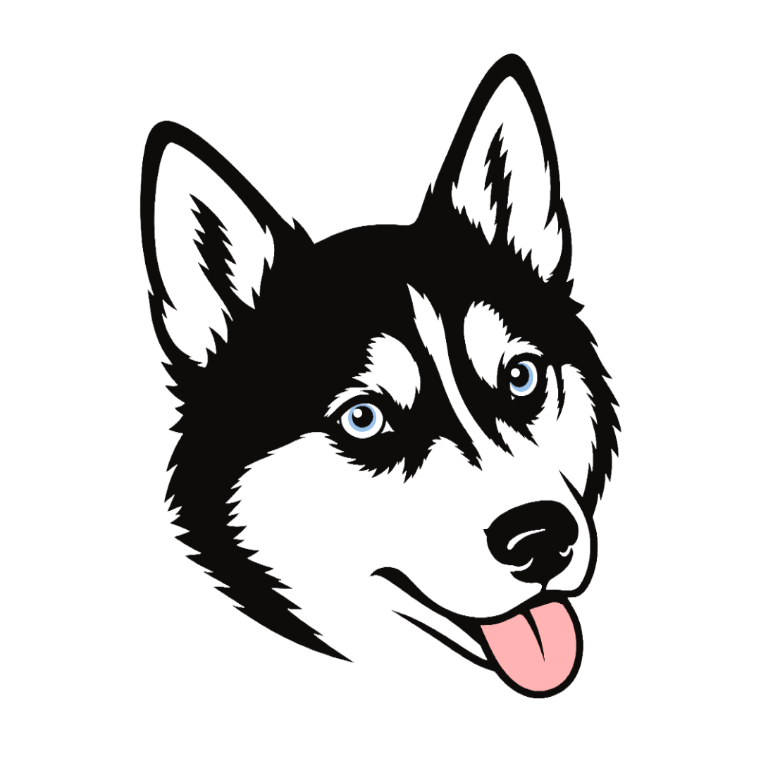 Minko the husky